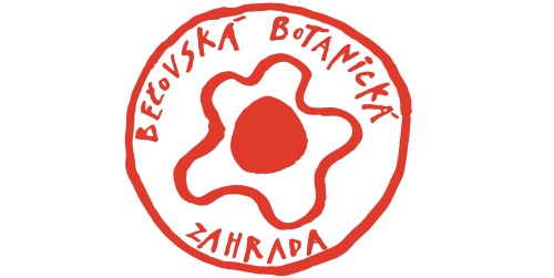 website template image